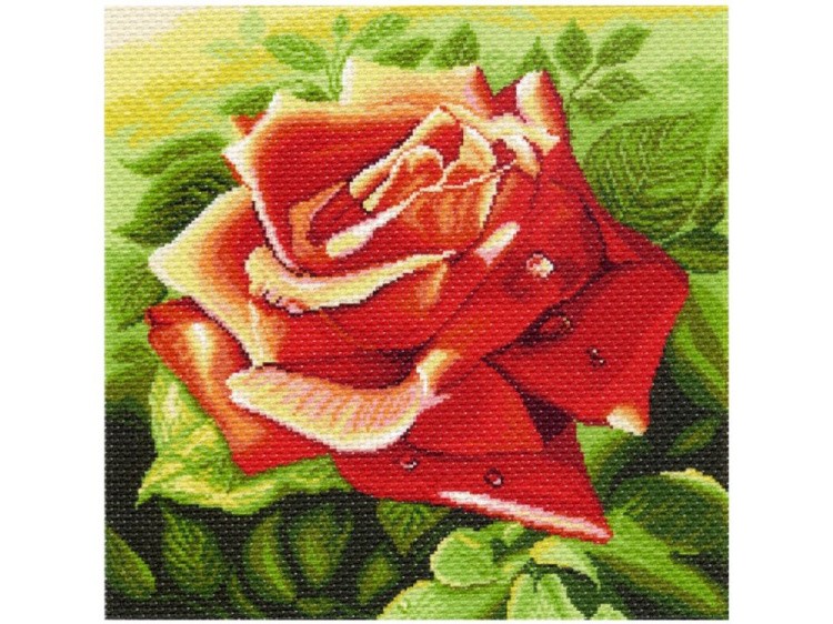 Рисунок на канве «Красная роза»