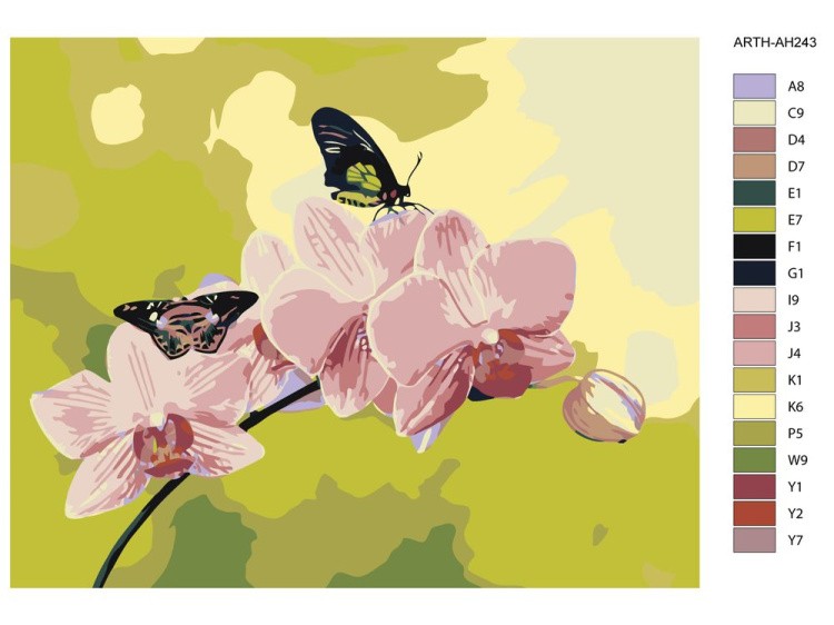 Картина по номерам «Бабочки на цветках» — картинка 2