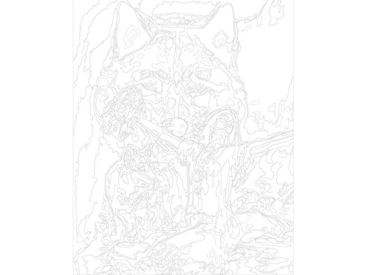 Картина по номерам «Дух волка» — картинка 3