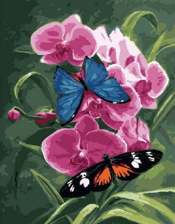 Картина по номерам «Бабочки на цветах»
