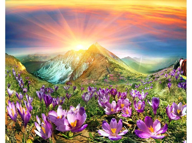 Картина по номерам «Восход» — картинка 2