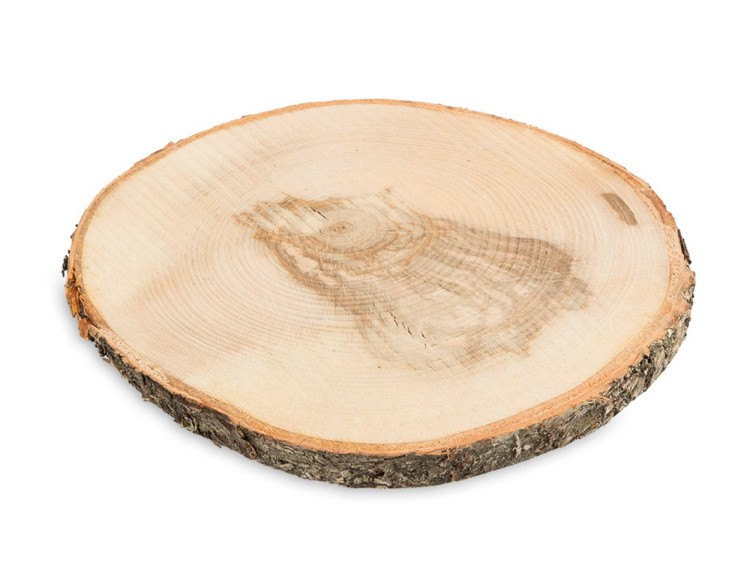 Срез дерева СРЕЗ-20, d 16-19 см, 1 шт., Blumentag — картинка 2