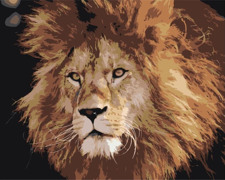 Картина по номерам «Лохматый лев»