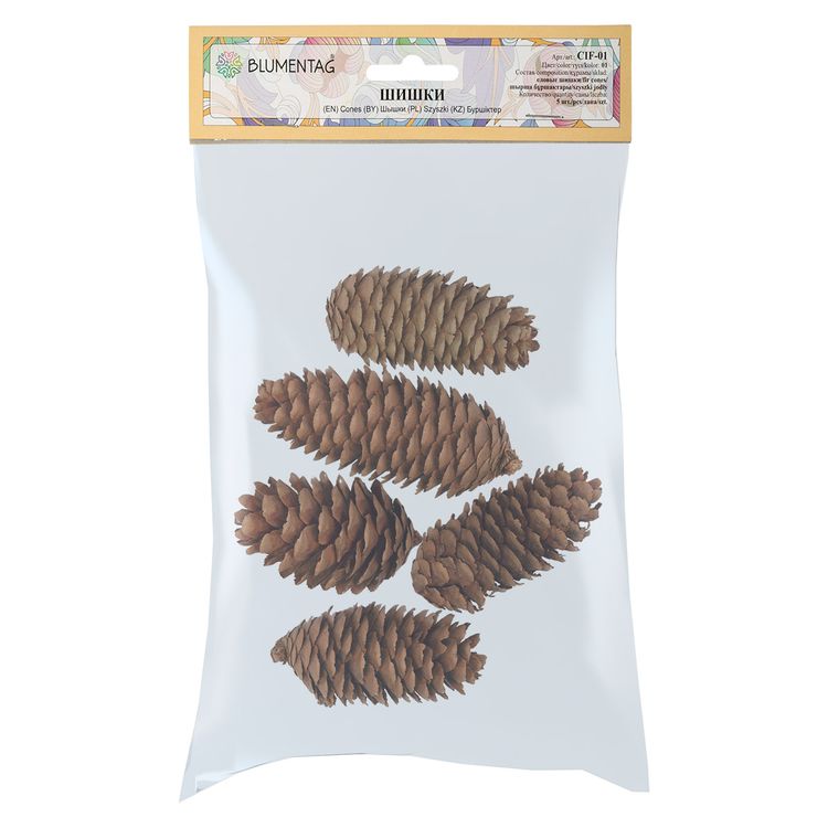 Шишки Ели, 5 шт., Blumentag — картинка 2