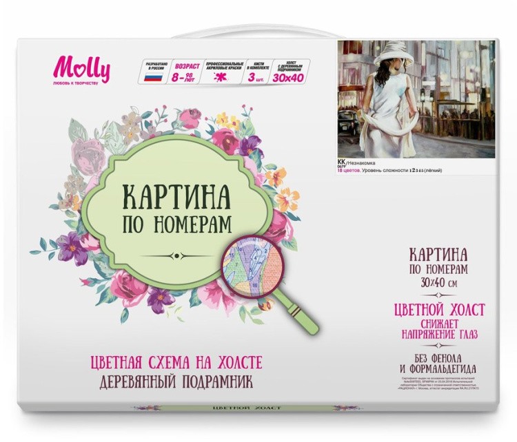 Картина по номерам «Незнакомка» — картинка 2