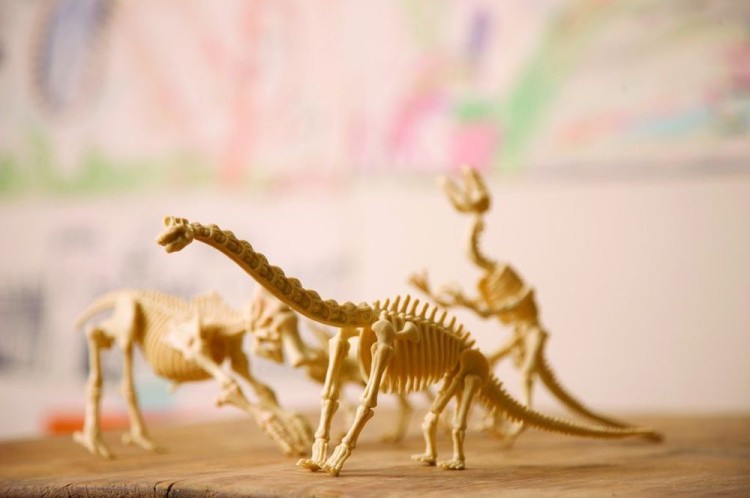 Набор юного археолога «Скелет Брахиозавра» — картинка 2