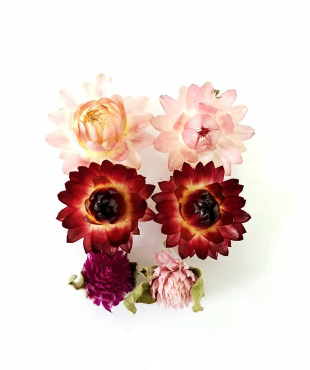 Сухоцветы Гелихризум и Гомфрена 6+6 шт., Resin Pro — картинка 3