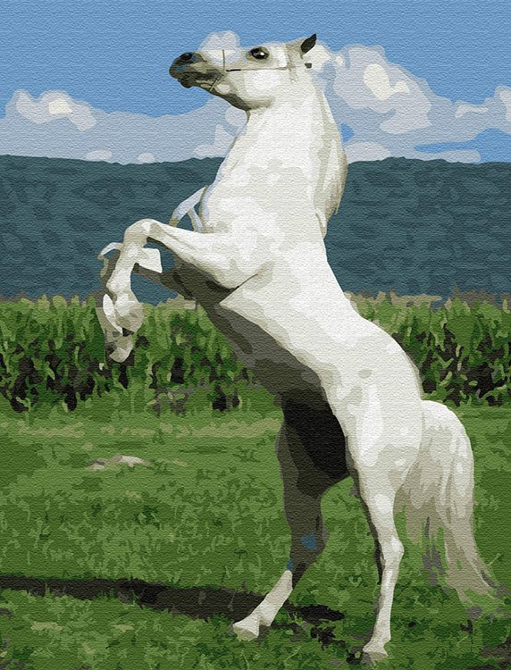 Картина по номерам «Белый конь»