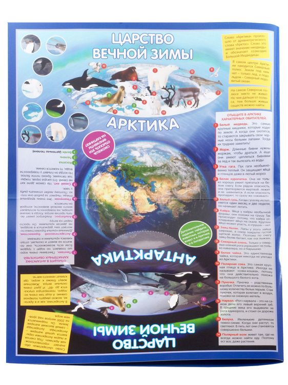 Настольная игра-путешествие Зимняя сказка — картинка 5