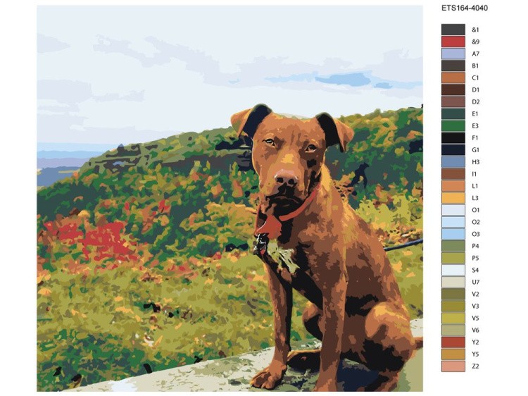 Картина по номерам «Питбуль» — картинка 2