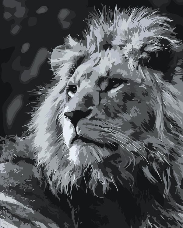 Картина по номерам «Мудрый лев»