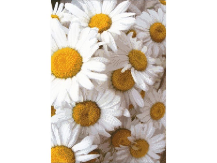 Алмазная вышивка «Ромашки» — картинка 2