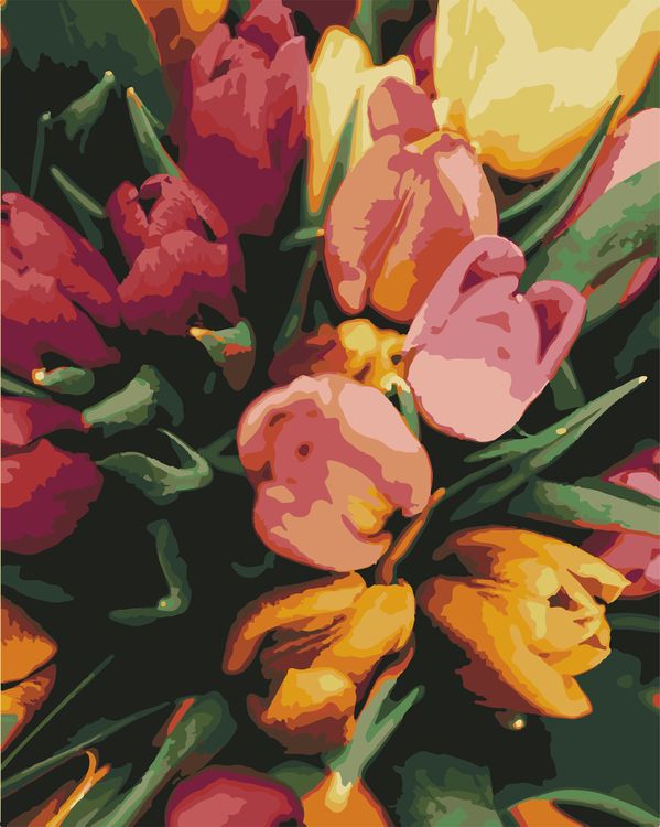 Картина по номерам «Тюльпаны»