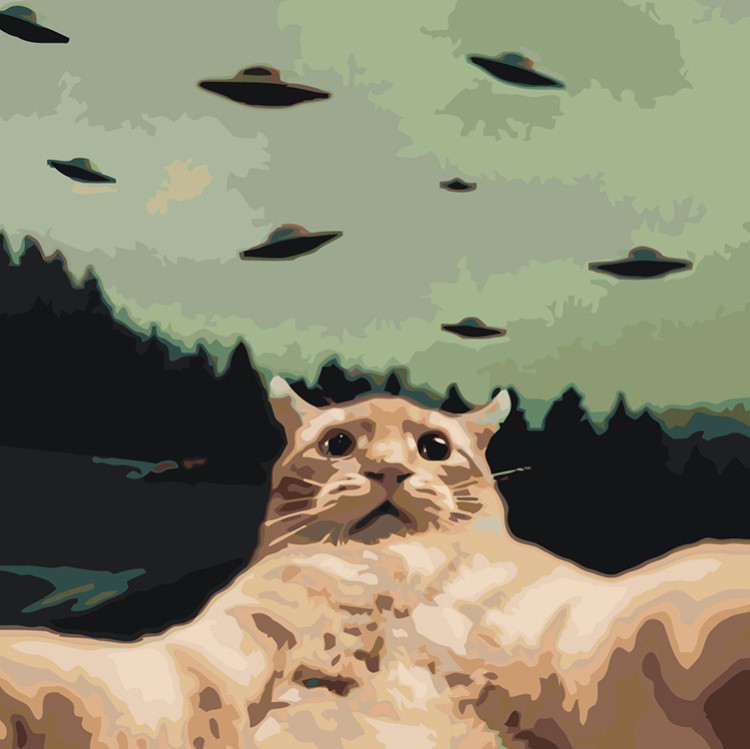 Картина по номерам «Мем: кот делает селфи, НЛО 40x40»