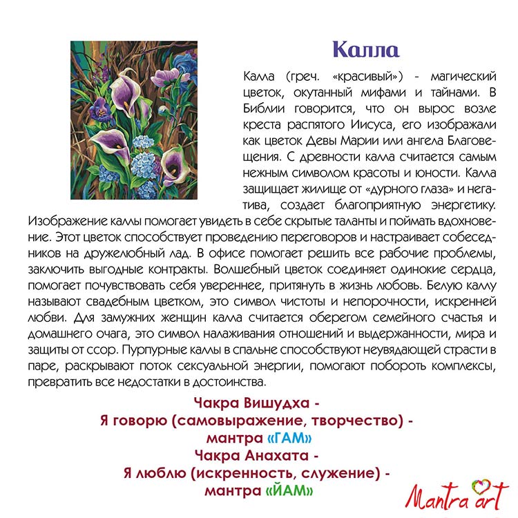 Картина по номерам «Каллы» — картинка 4