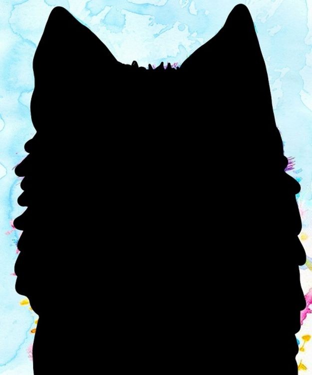 Алмазная вышивка «Акварельный волк» — картинка 2