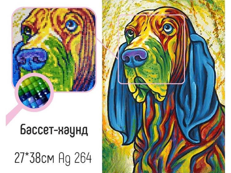 Алмазная вышивка «Бассет хаунд» — картинка 2