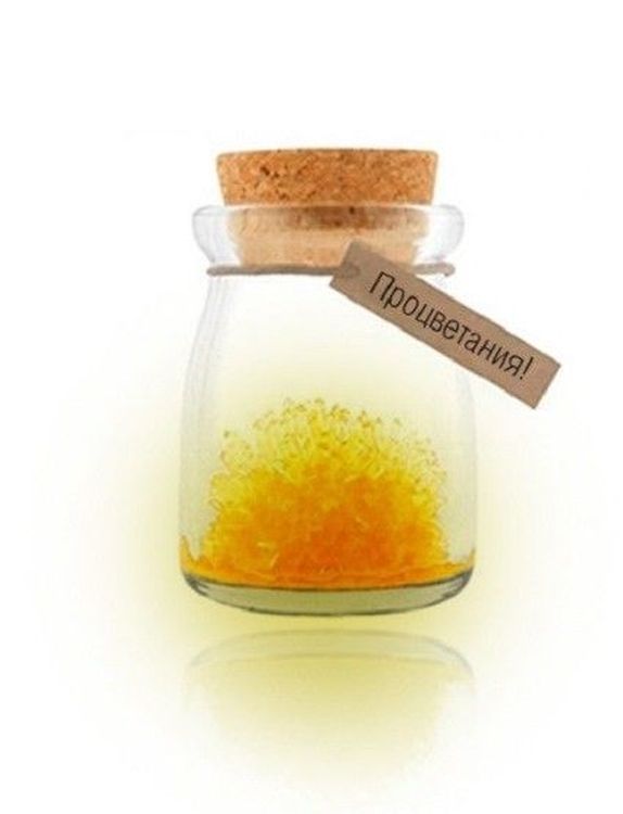 Набор для выращивания кристаллов «Пожелание процветания» — картинка 6