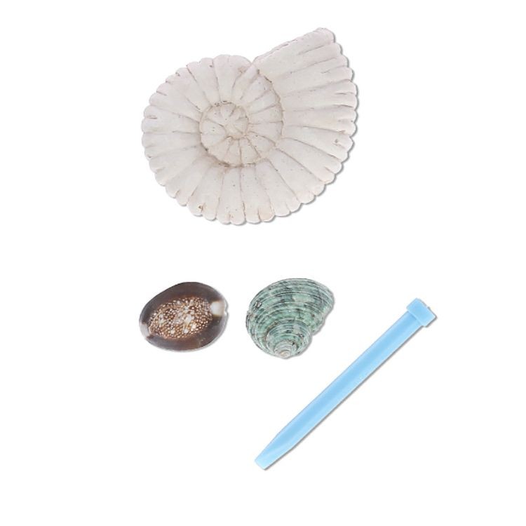 Набор для творчества «Раскопки. Наутилус», Поделкин — картинка 2