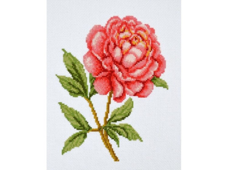 Набор для вышивания «Розовый пион»