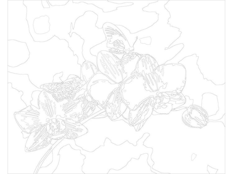 Картина по номерам «Бабочки на цветках» — картинка 3