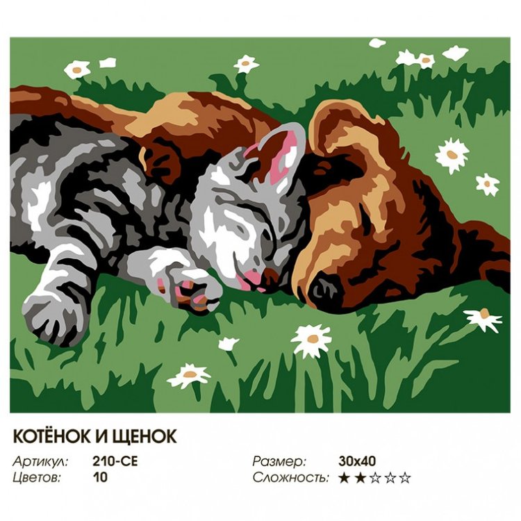 Картина по номерам «Котенок и щенок» — картинка 2