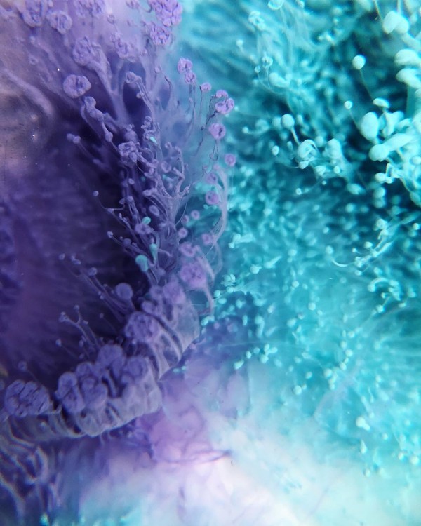 Краска для Петри Petri 8 Аметист 5 мл, Kamenskaya Ink — картинка 3