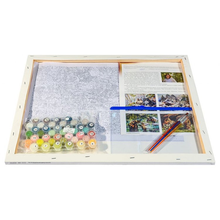 Картина по номерам «Любимый кот на отдыхе» — картинка 3