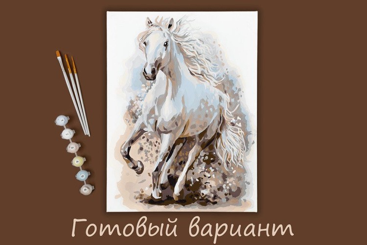 Картина по номерам «Со скоростью ветра» — картинка 2