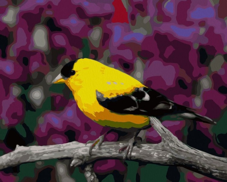 Картина по номерам «Желтая птичка на веточке»