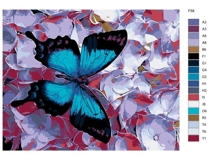 Картина по номерам «Бабочка» — картинка 2