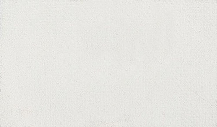 Краска гуашь Vista-Artista Fine художественная (Белила титановые),  40 мл — картинка 2