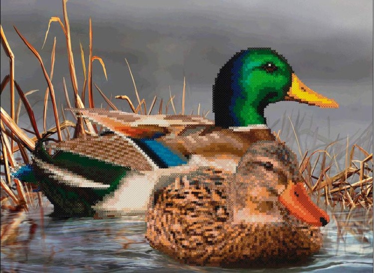 Алмазная вышивка «Утки в заводи» — картинка 2