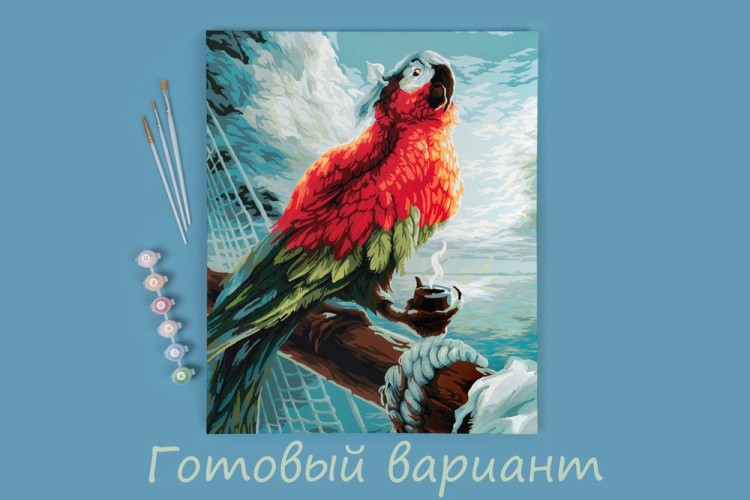 Картина по номерам «Пиратский попугай» — картинка 2