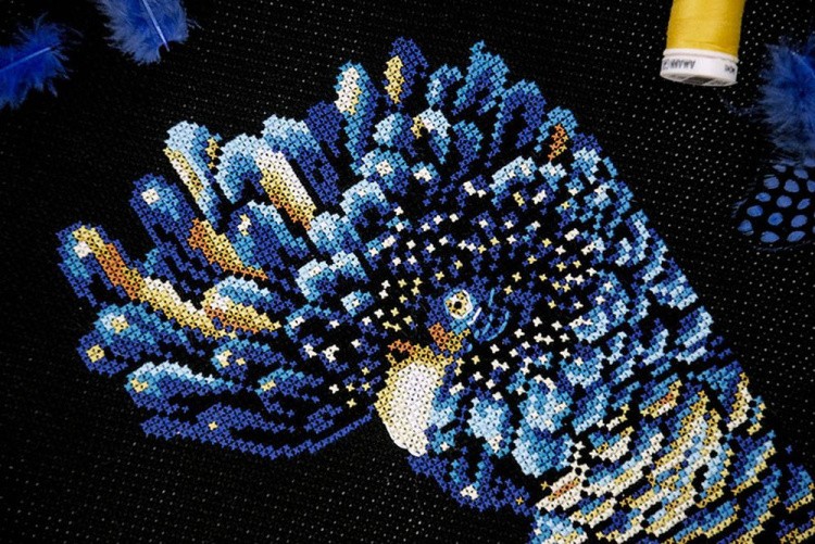 Набор для вышивания «Черный какаду» — картинка 4