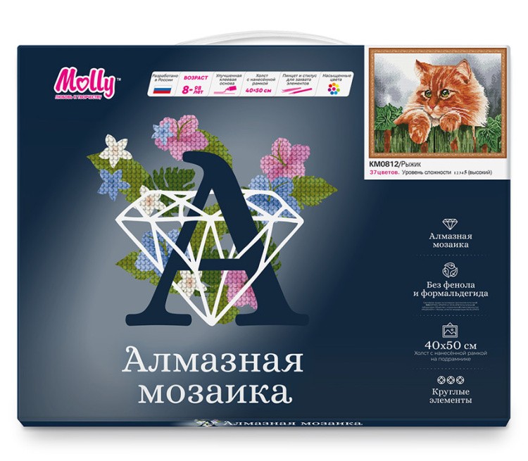 Алмазная вышивка «Рыжик» — картинка 2