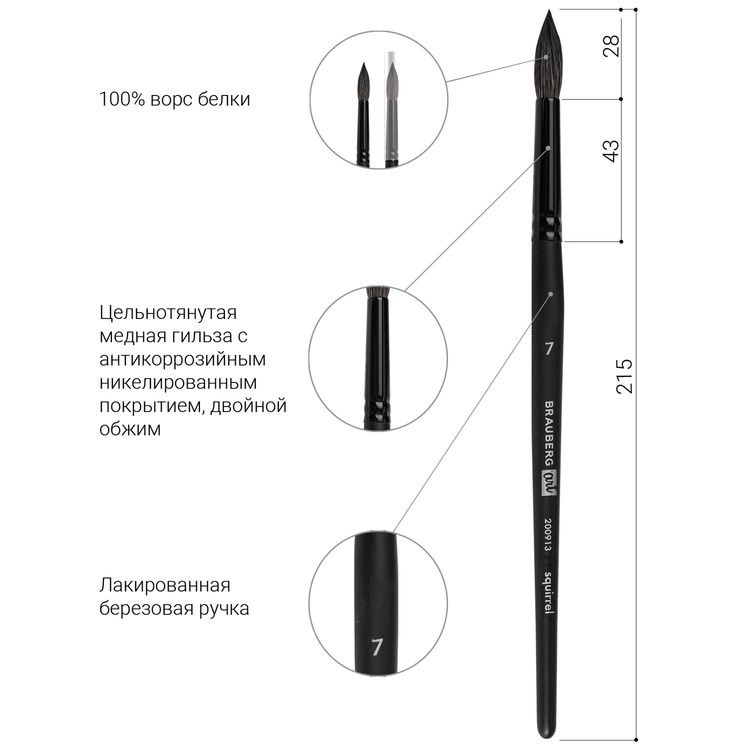 Кисть художественная профессиональная Art Classic, белка, круглая, № 7, короткая ручка, Brauberg — картинка 4