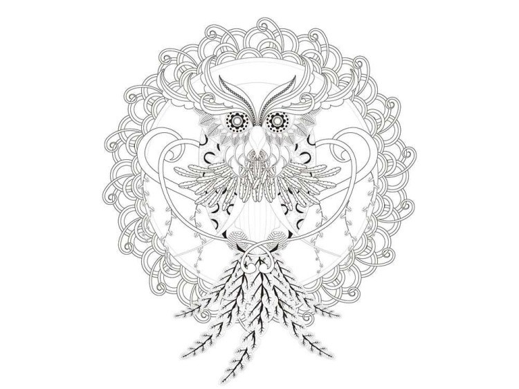 Набор-антистресс для вышивания «Узор филина» — картинка 2