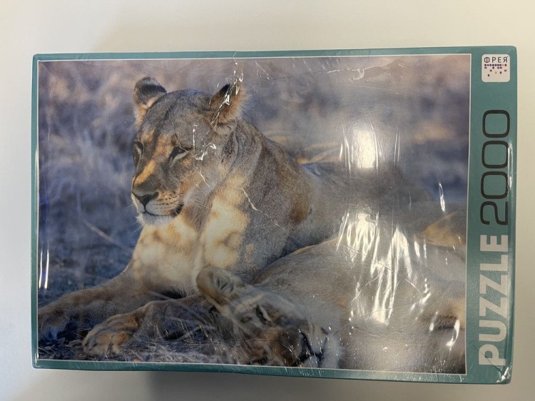 УЦЕНКА. Пазлы «Львиная нежность» (порвана лицевая сторона коробки) — картинка 2