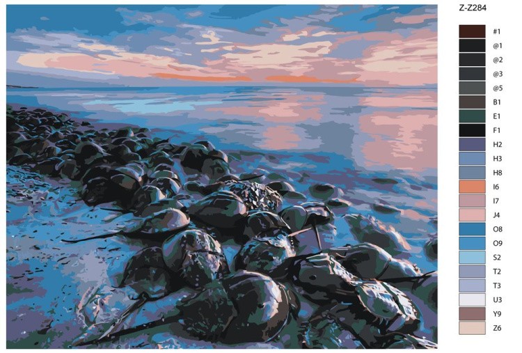 Картина по номерам «Камни» — картинка 2