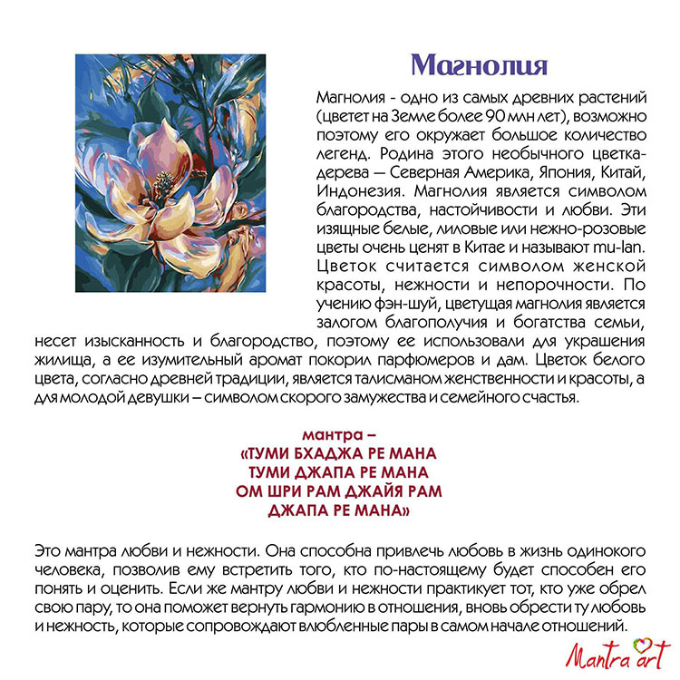 Картина по номерам «Магнолия» — картинка 4