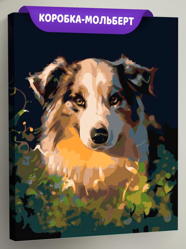 Картина по номерам «Собачий взгляд»