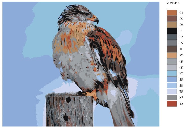 Картина по номерам «Королевский ястреб» — картинка 2