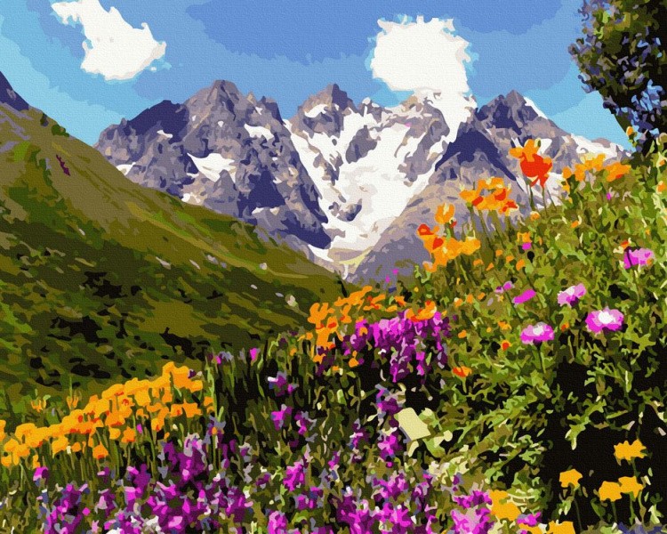 УЦЕНКА. Картина по номерам «Альпийские луга Дагестана» (порвана коробка)