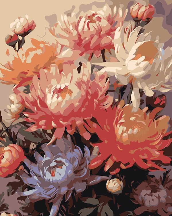 Картина по номерам «Цветы: Необычные хризантемы 2»