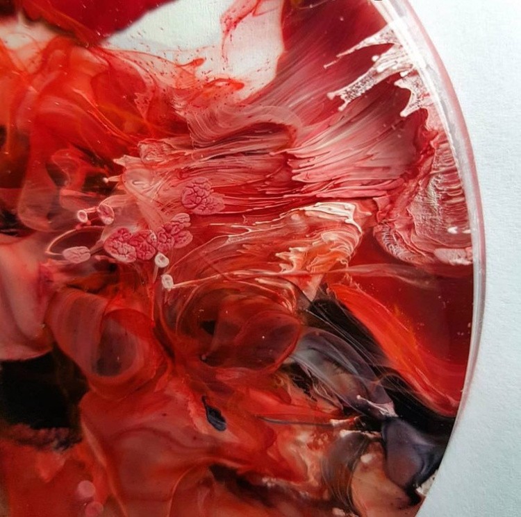 Краска для Петри Petri 10 Алый поцелуй 5 мл, Kamenskaya Ink — картинка 3