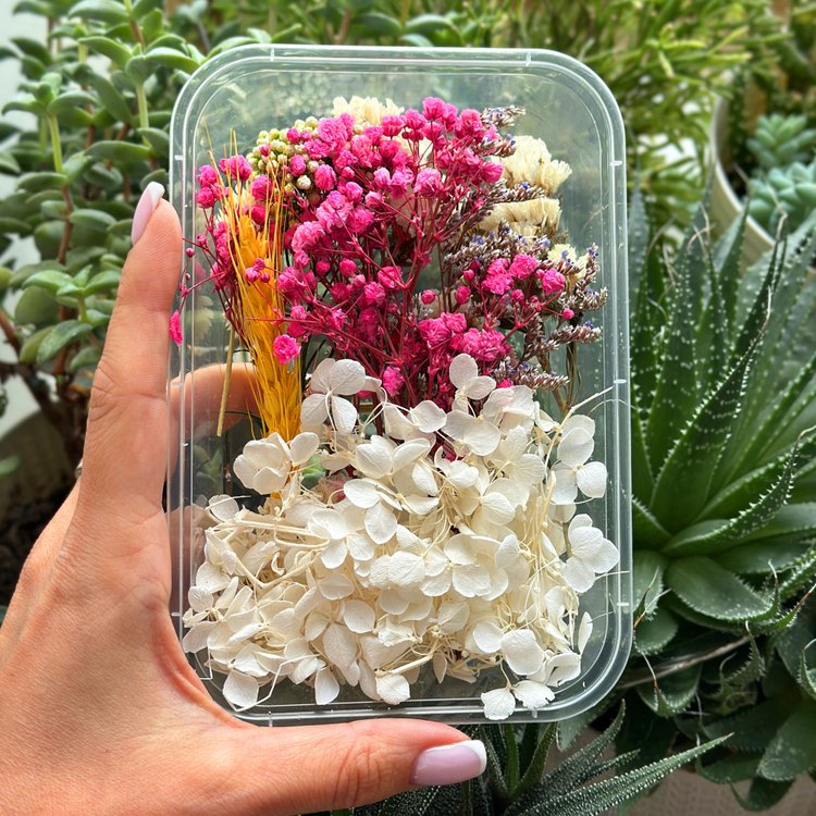 Набор сухоцветов №3, 1 упаковка — картинка 3