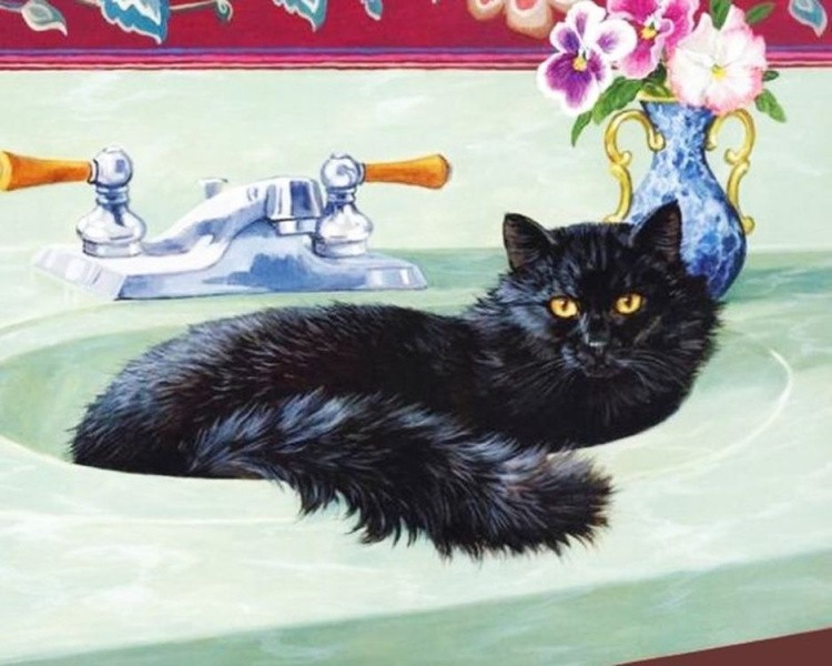 Картина по номерам «Кот в раковине»