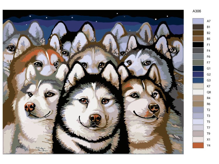 Картина по номерам «Хаски» — картинка 2