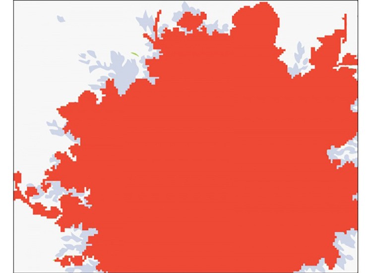Алмазная вышивка «Букет нежности» — картинка 2